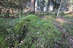 Veikkola-035