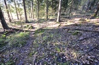 Veikkola-039