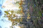 Veikkola-042
