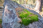 Veikkola-044